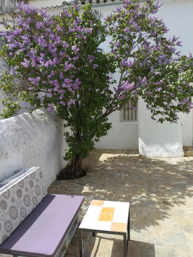 Вилла Casa Bejar, Tranquila Casa Con Chimenea, Patios, Junto A La Piscina Каньете-ла-Реаль Экстерьер фото